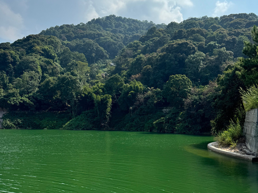 镜花缘景区-东源县必去景点