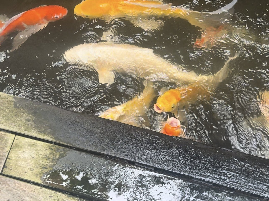 Yäan Healing Sanctuary-图伦必去景点