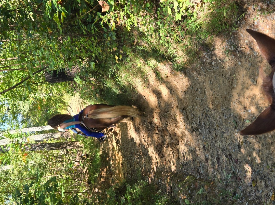 Sugarland Riding Stables-盖林柏格必去景点