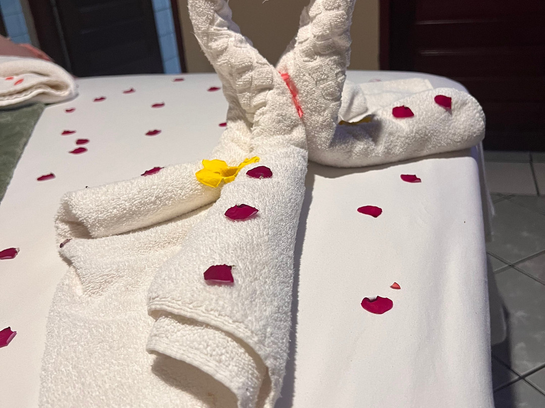 Pousada Ponta Da Pedra主图