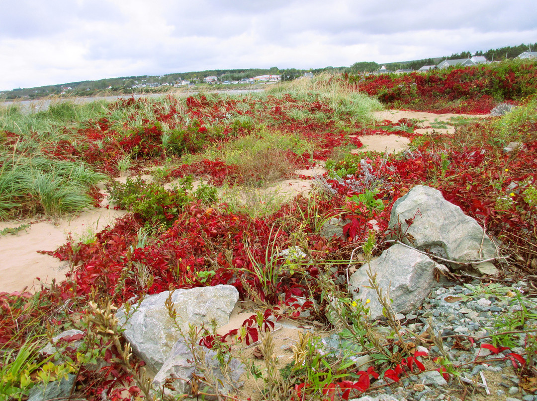 Port Hood Station Provincial Park-Port Hood必去景点