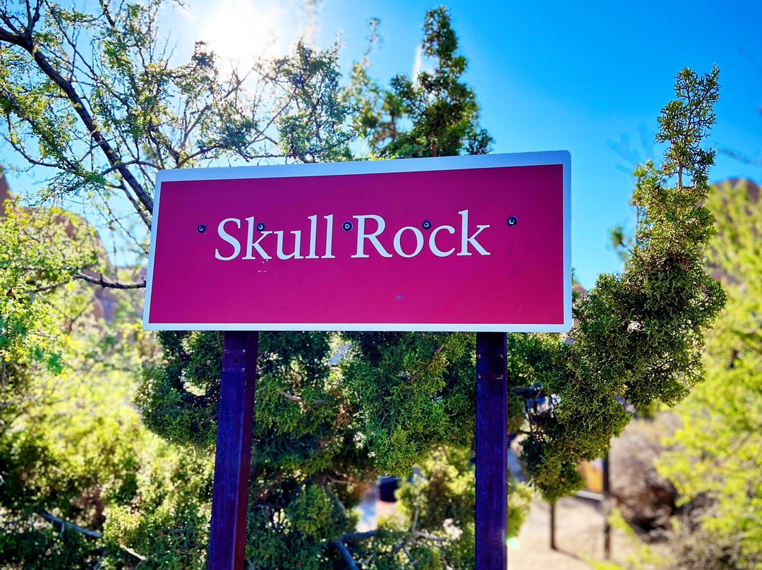 Skull Rock-约书亚树国家公园必去景点