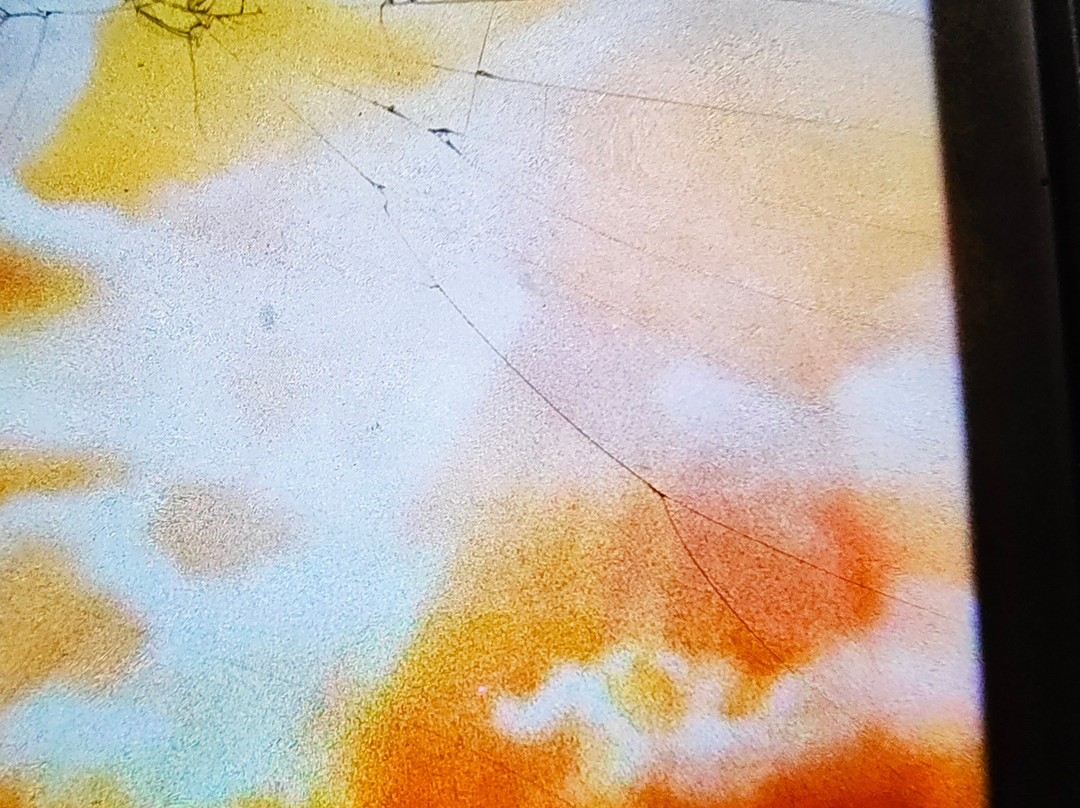 Dar Abdullah's Gallery