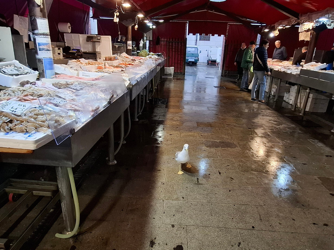 Chioggia Pesca - Mercato Ittico di Chioggia-基奥贾必去景点