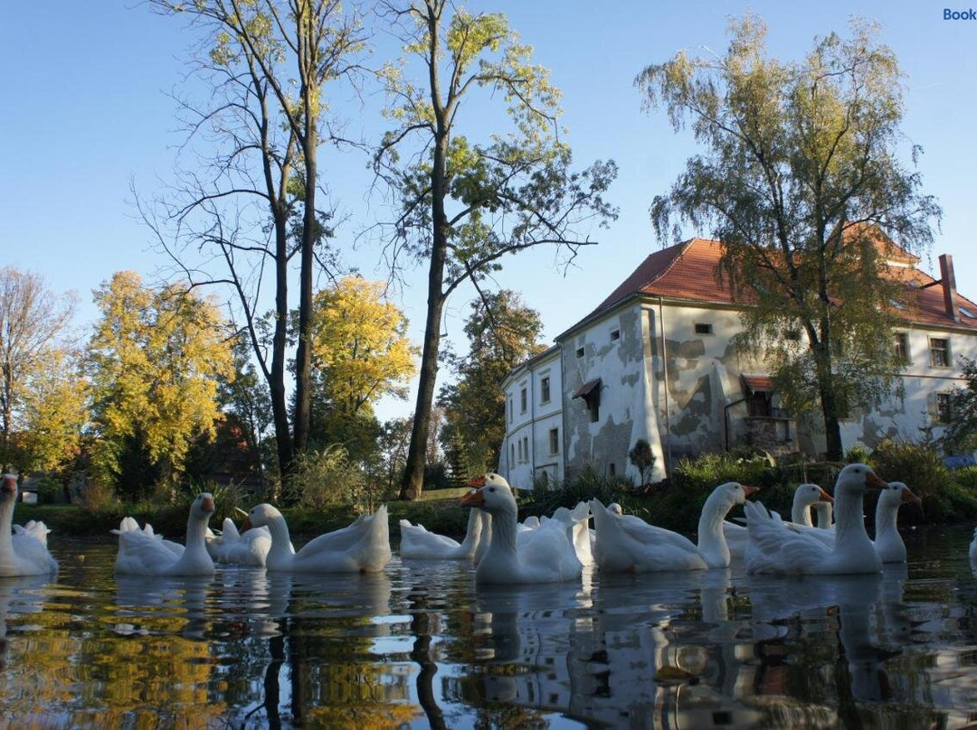 Piotrowice Nyskie Palace主图