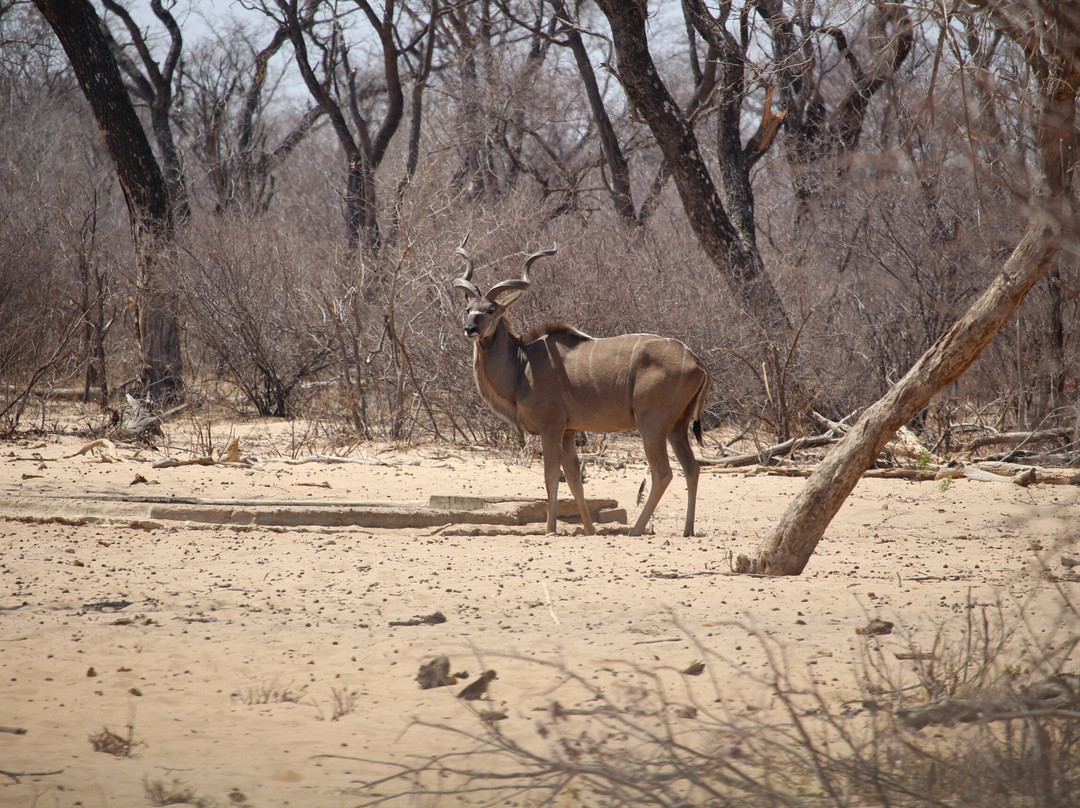 Wildacker Guestfarm主图