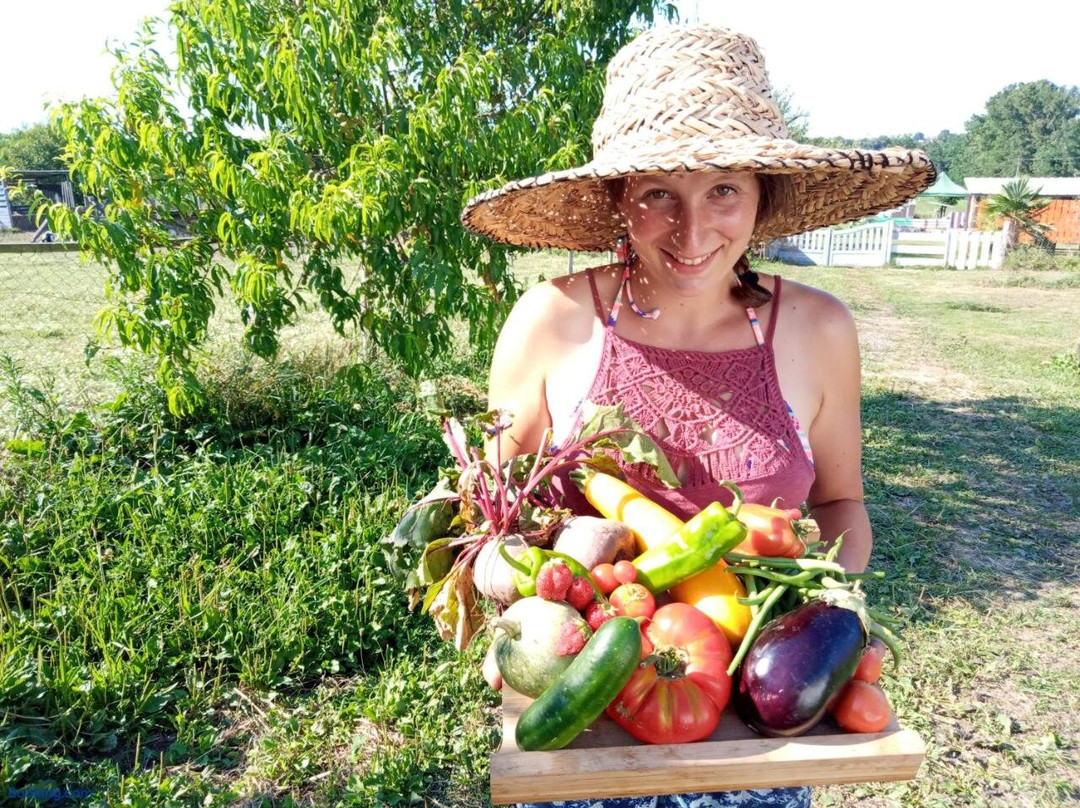 La Petite Ferme de Pouillon