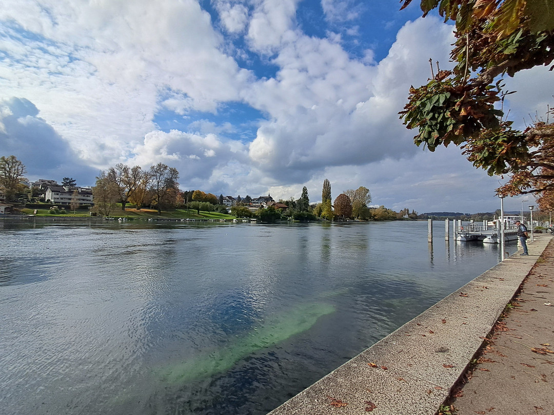 Hafen Stein Am Rhein-施泰因必去景点