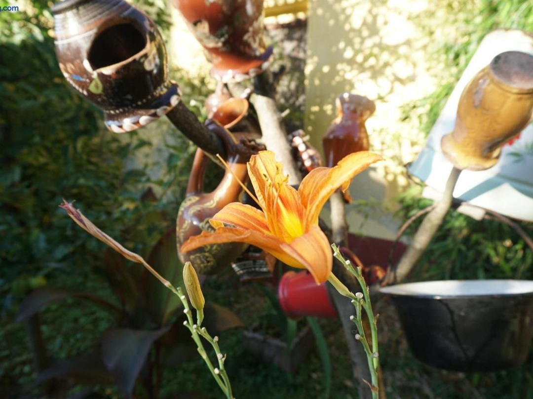 Piri Vendeghaz