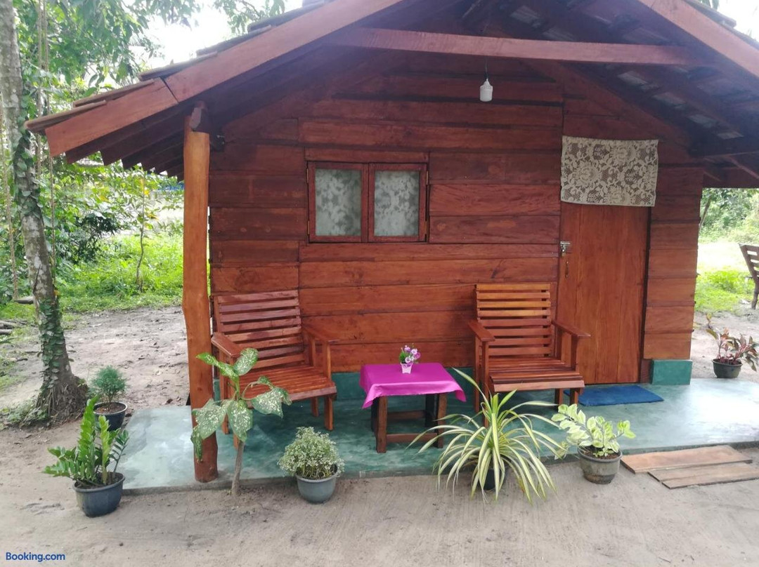 Jungle Paradise