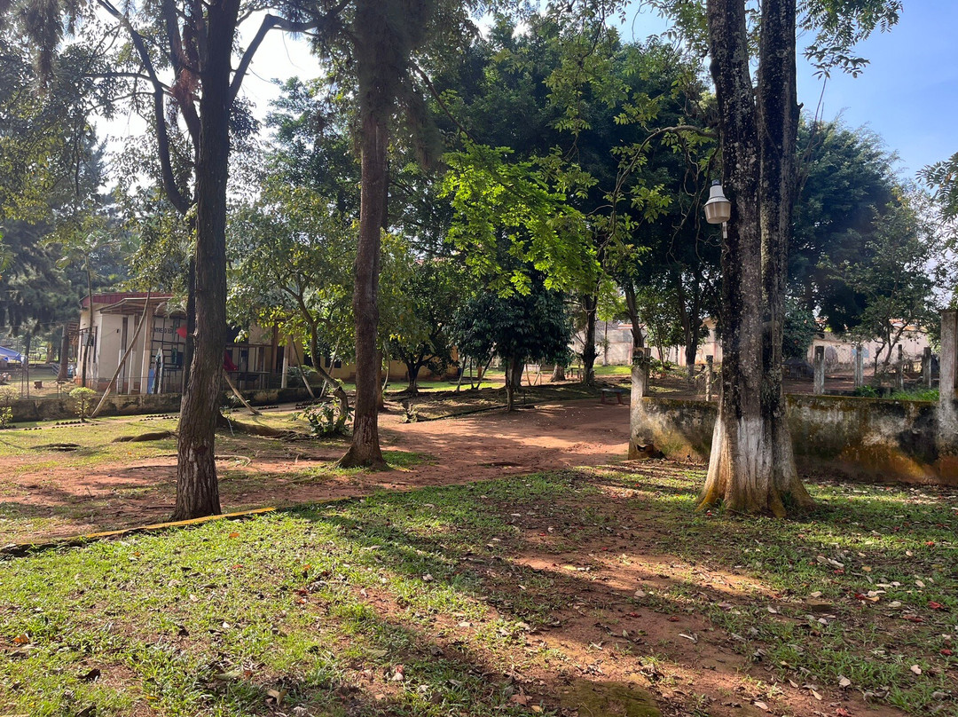 Mvog Betsi Zoo-雅温得必去景点