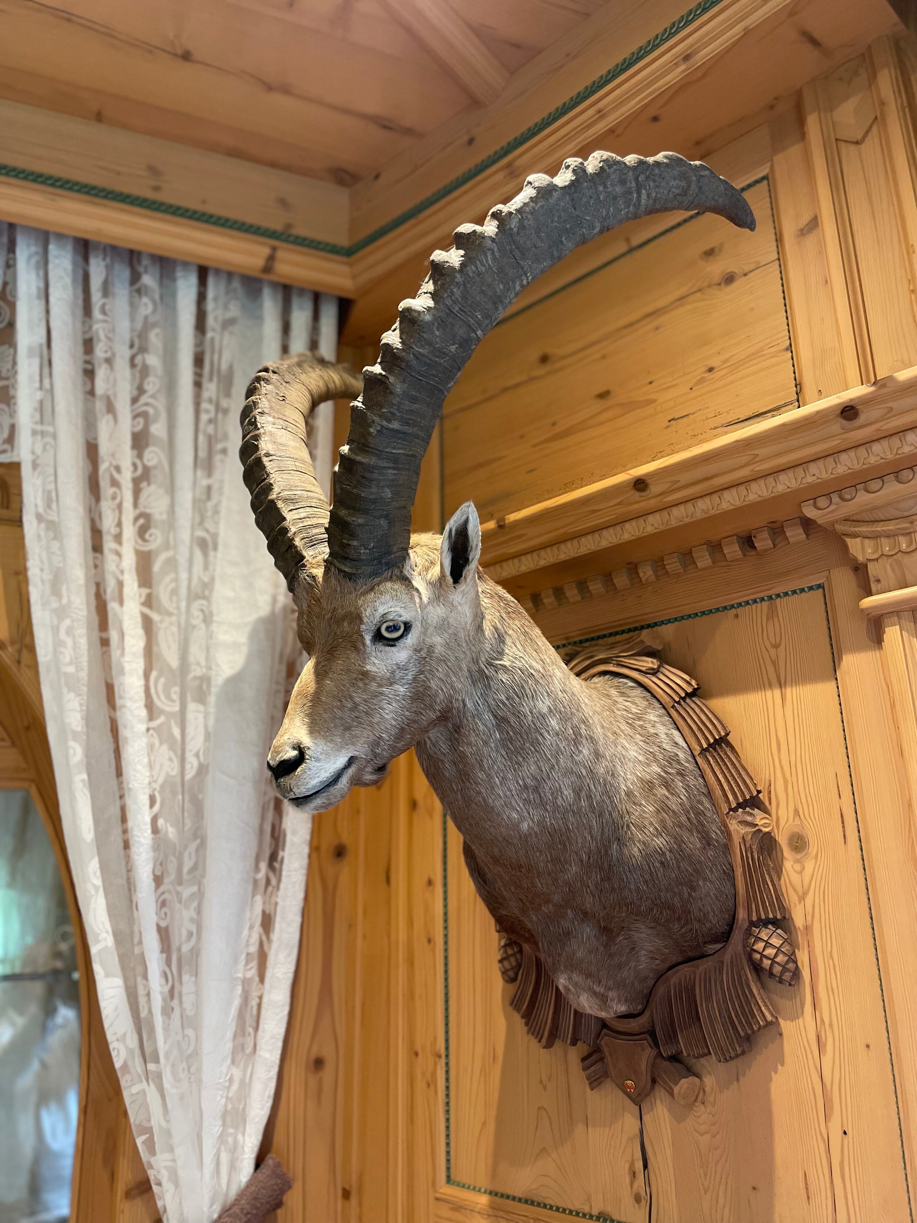 Wellness & Relax Hotel Milderer Hof-浴室