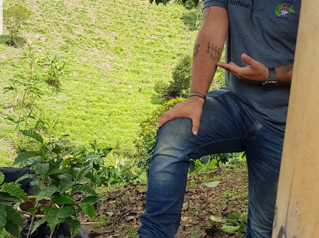 Las Acacias Coffee Farm-萨伦托必去景点