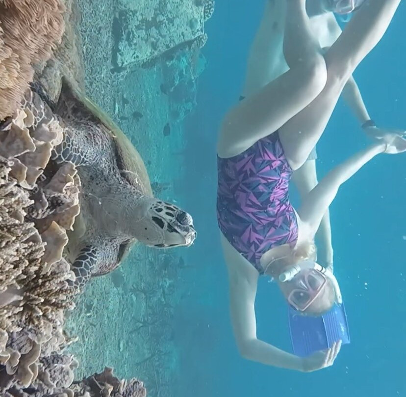 Manta Discovery-Ped必去景点