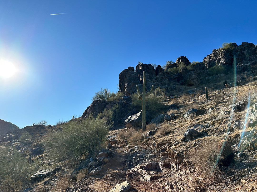 Wild Bunch Desert Guides Llc-斯科茨代尔必去景点