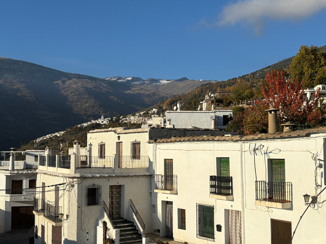 Las Terrazas de la Alpujarra主图