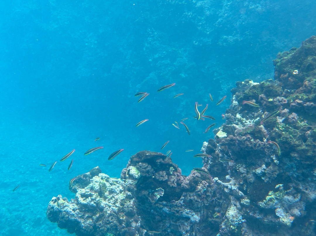 Islanders Galapagos Tour Agency and Operator-Puerto Baquerizo Moreno必去景点