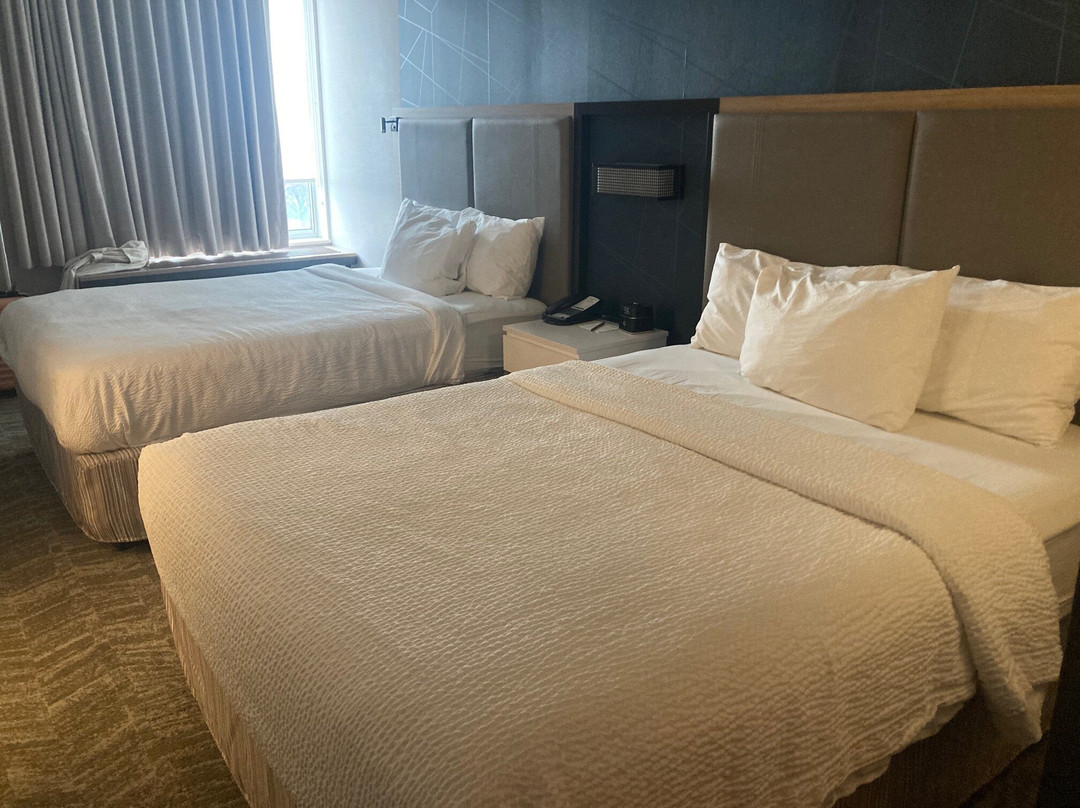 SpringHill Suites by Marriott Belmont Redwood Shores主图