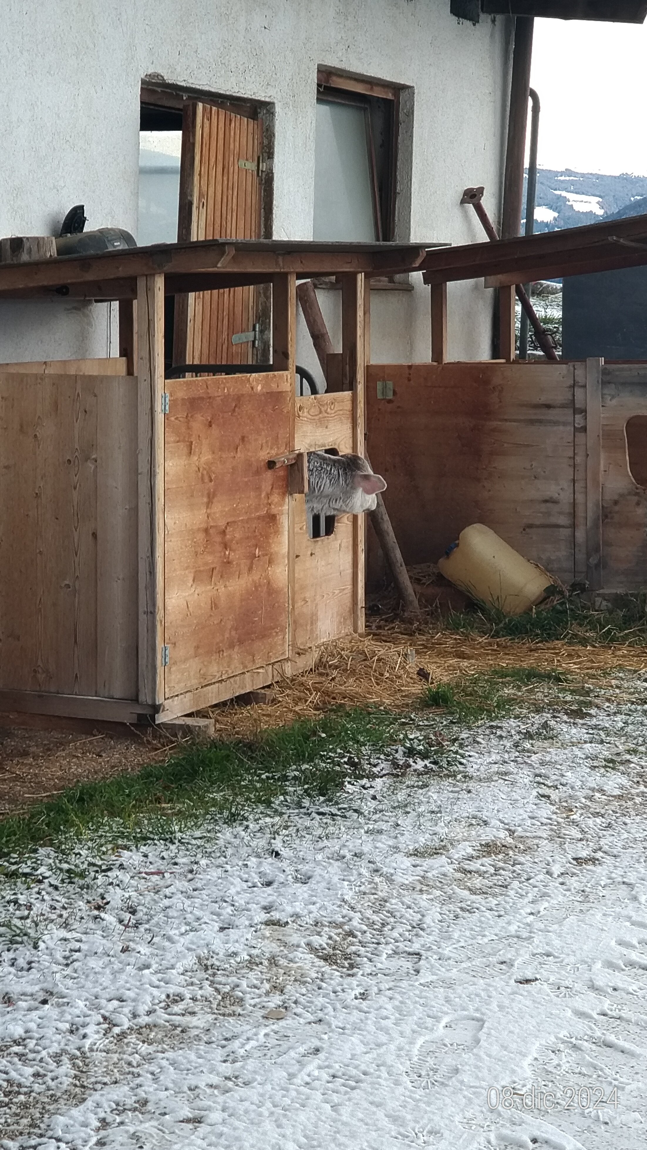 Kershbamerhof-官方