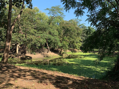 Maison de Sukhothai主图