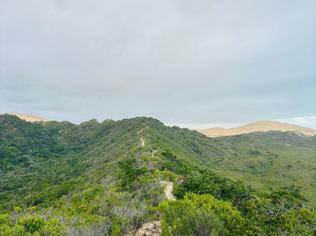 Alexandria Hiking Trails-Addo Elephant National Park必去景点