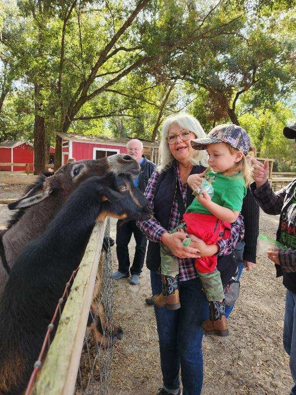 Santa's Christmas Tree Forest-Eustis必去景点