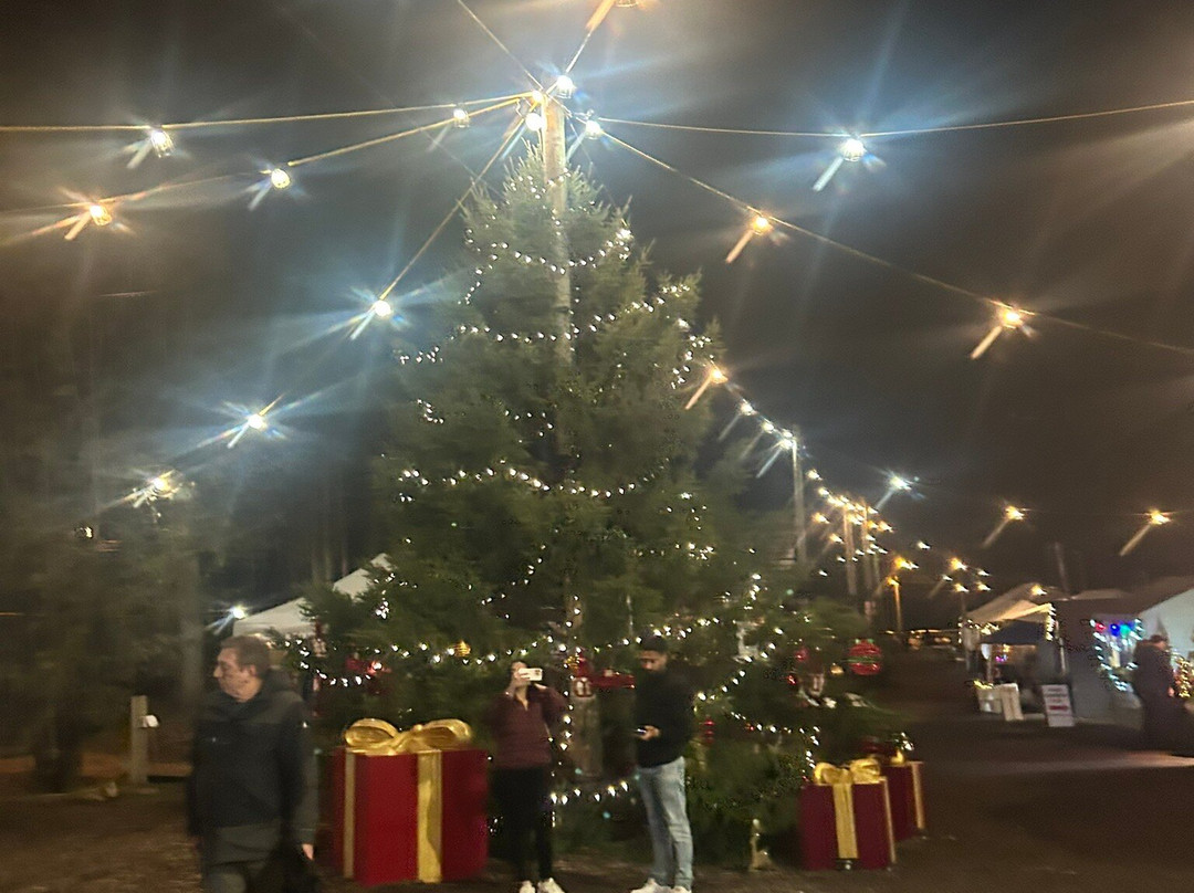 Niemi Family Farm-Mount Albert必去景点
