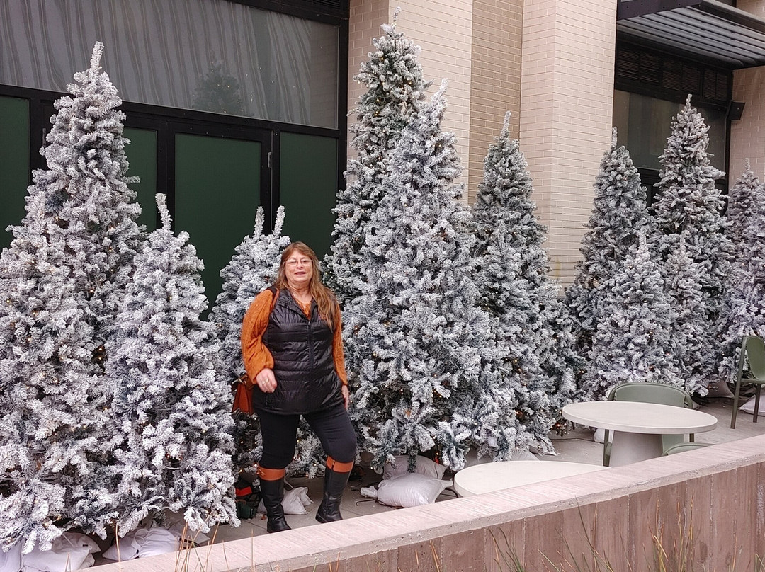 达拉斯商业街-达拉斯必去景点