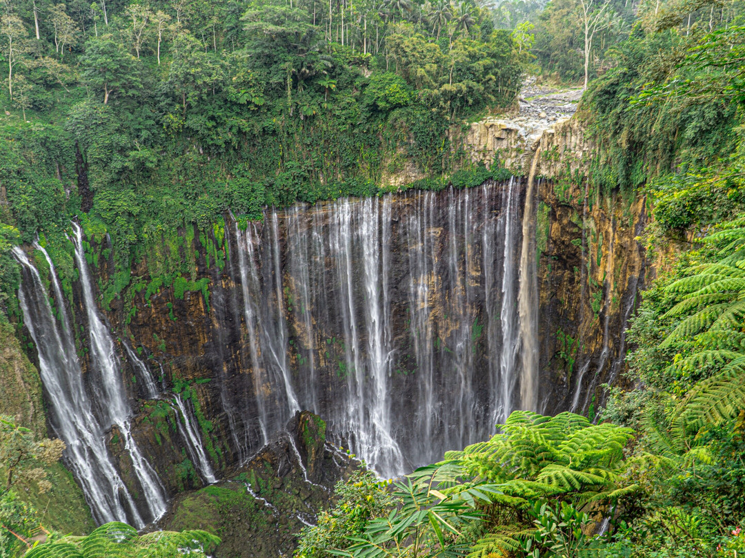 Pahlawan Berkemah-泗水必去景点