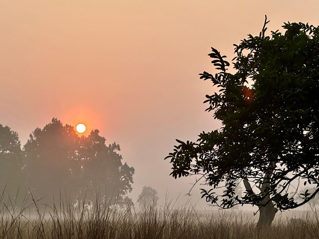 Kanha Tiger Reserve景点图片