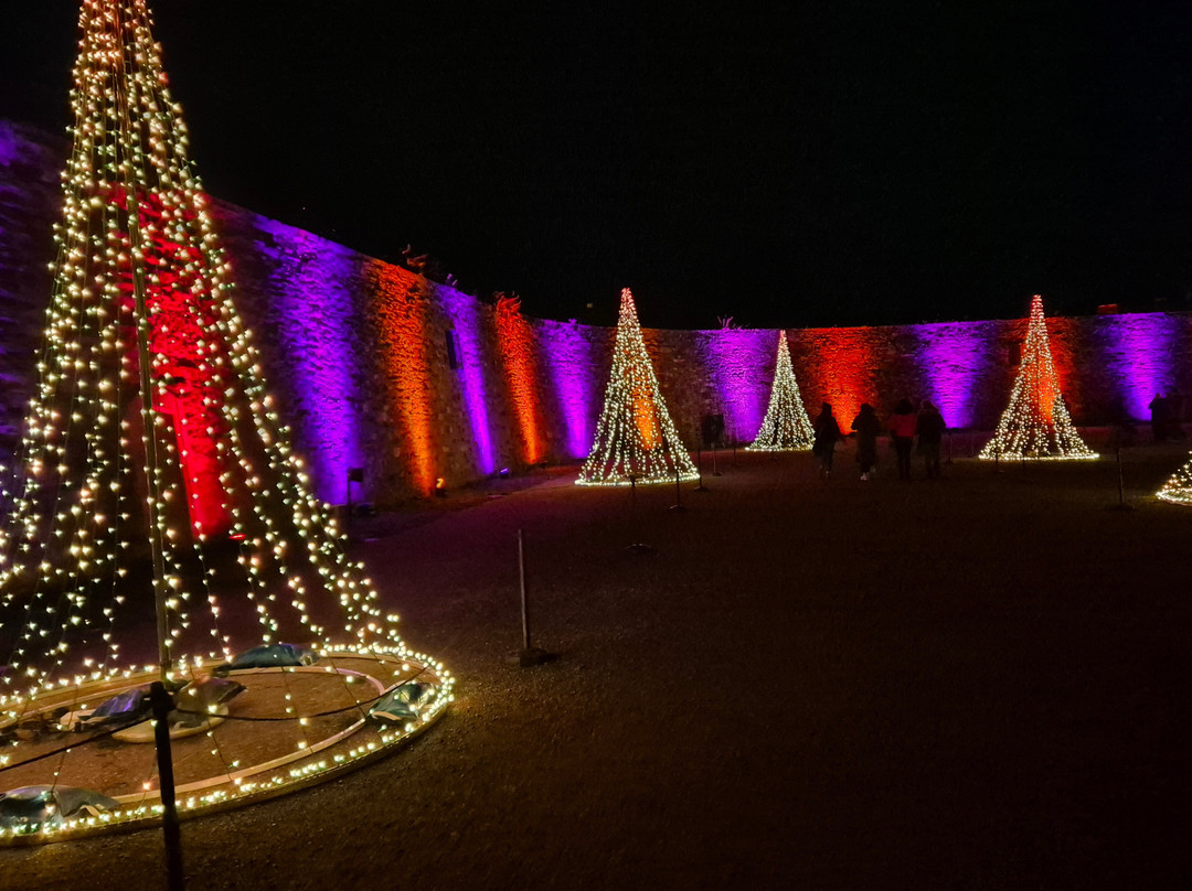 Christmas Garden Koblenz景点图片