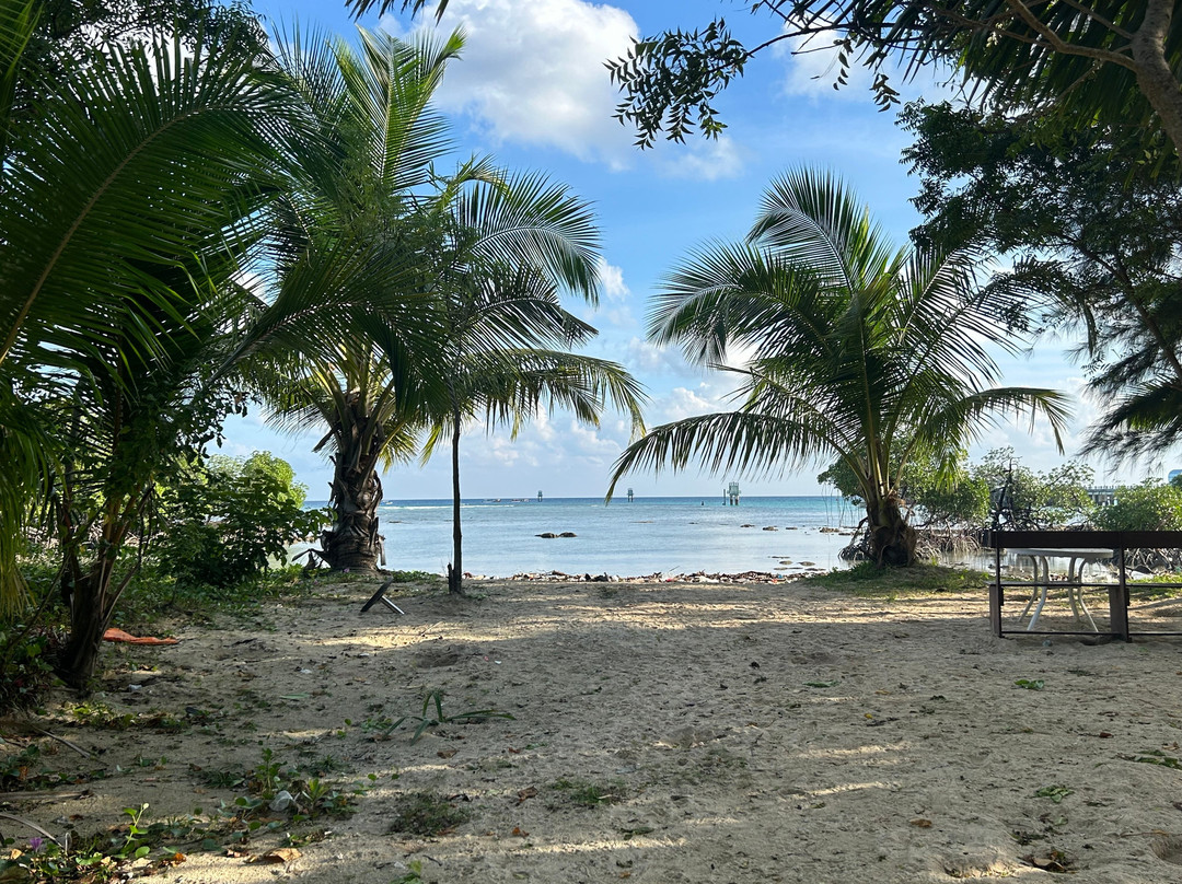Andaman Experts景点图片