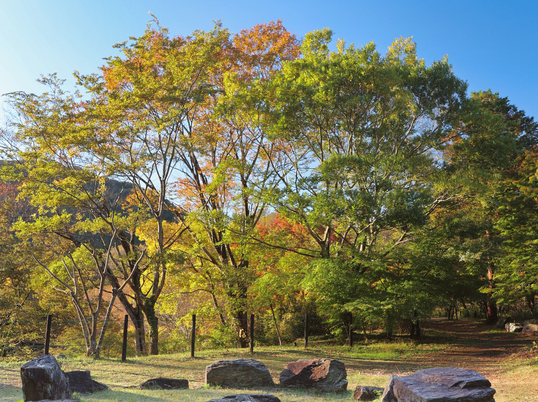Ranzan Valley-岚山町必去景点