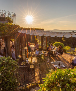 Mudbrick Vineyard & Restaurant餐厅图片