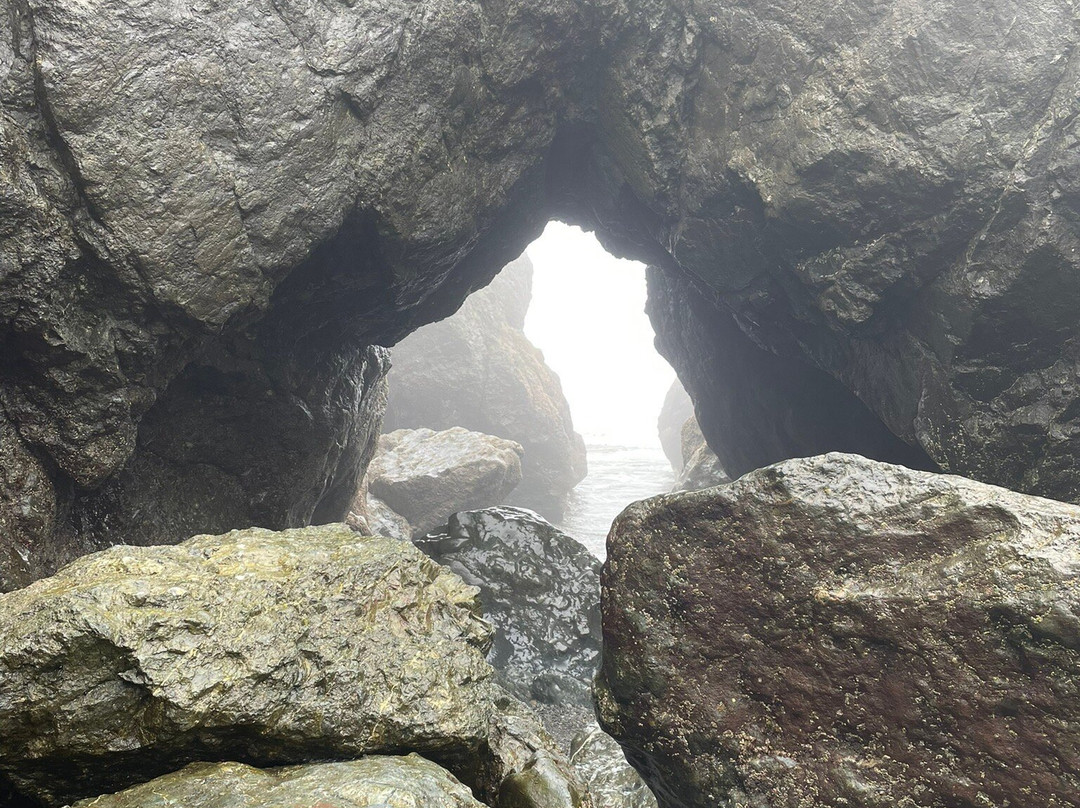 Kalaloch Beach Trail 4景点图片