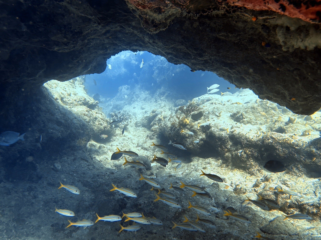 Sea Jay Cruises-格雷斯湾必去景点