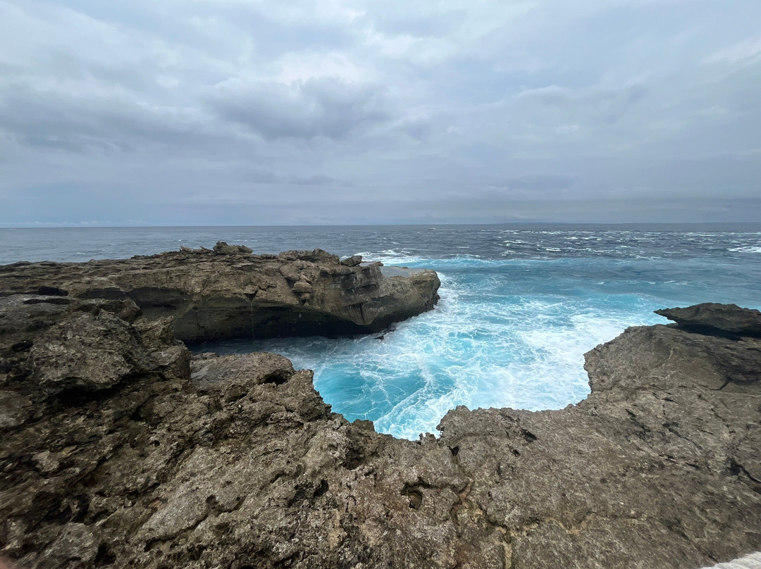 Best of Bali Tours-蓝梦岛必去景点