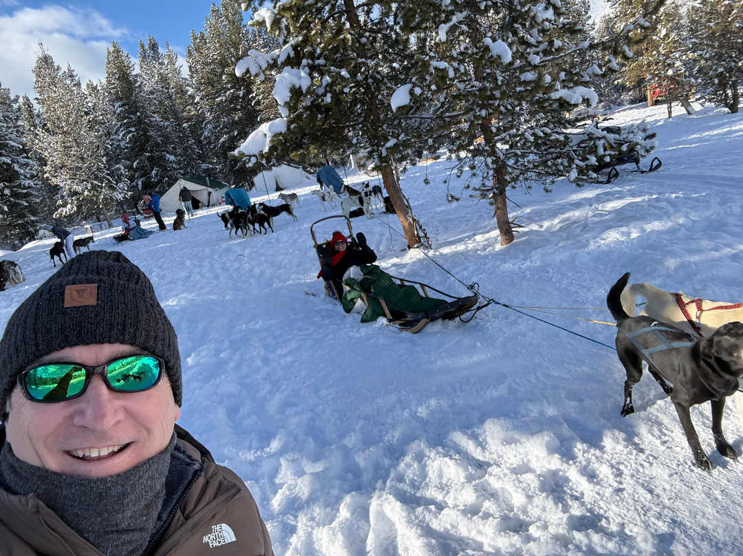 Yellowstone Dog Sled Adventures-西黄石镇必去景点