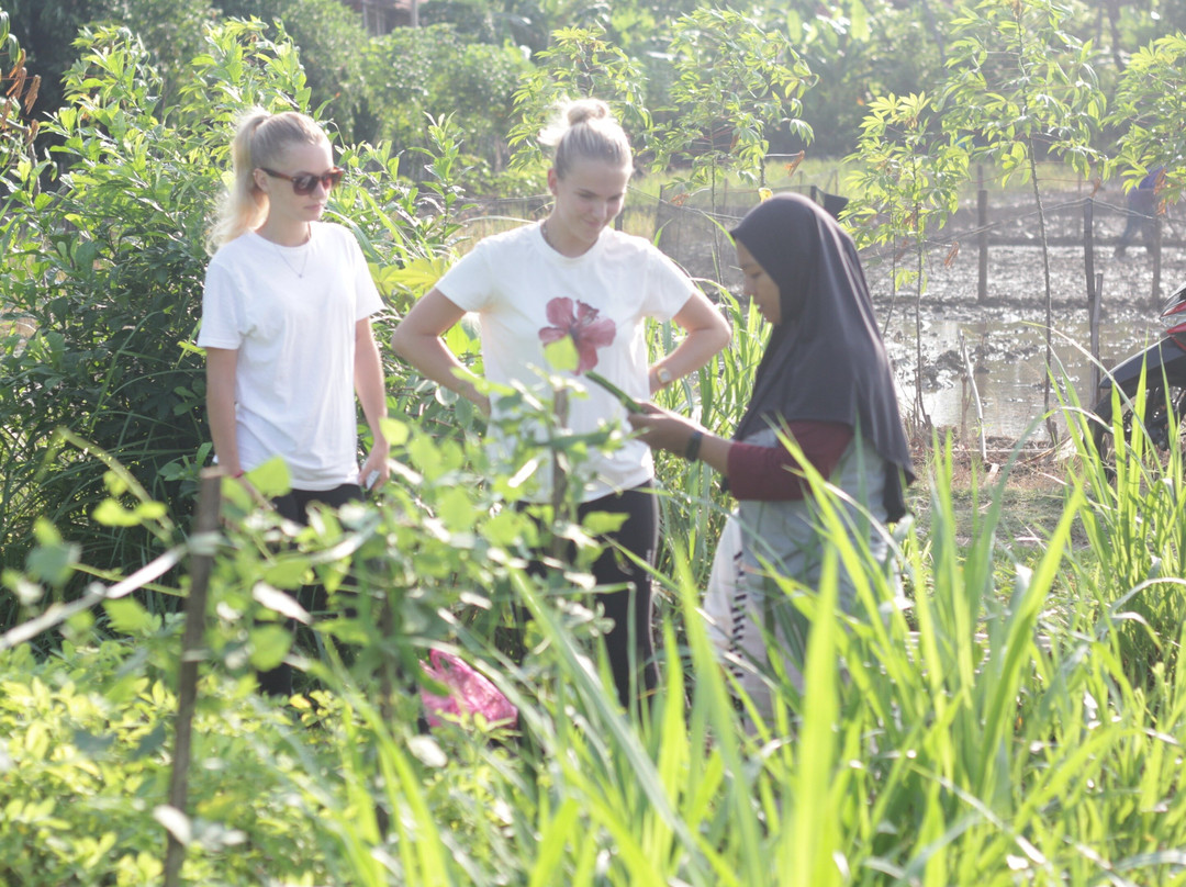Autica Tours-Yogyakarta必去景点