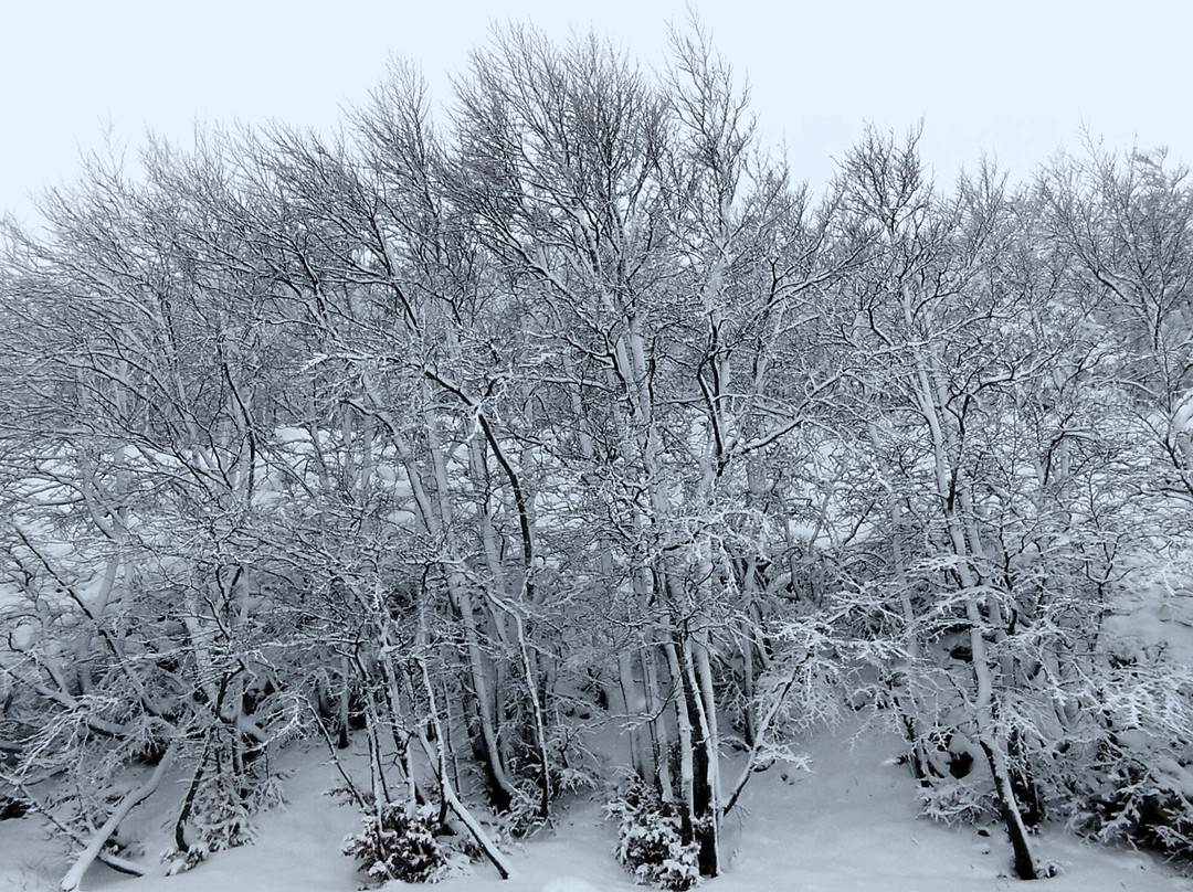 Monte Magnola Impianti Ovindoli景点图片