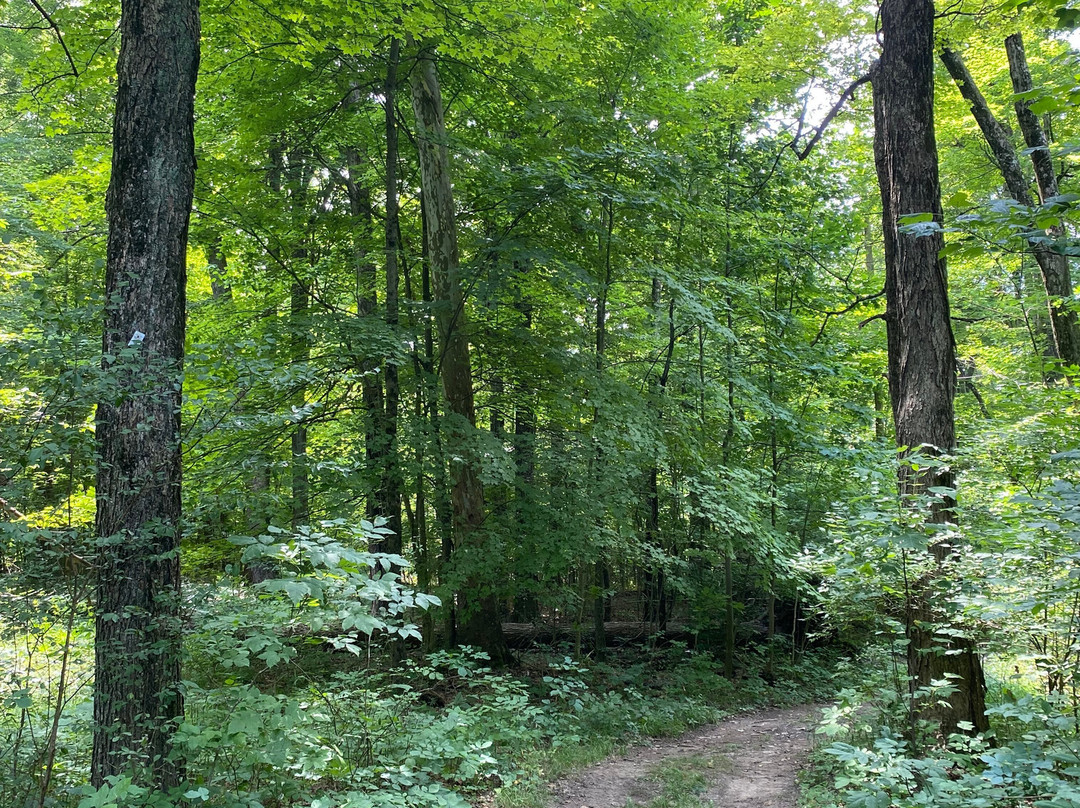Ohio Bird Sanctuary景点图片