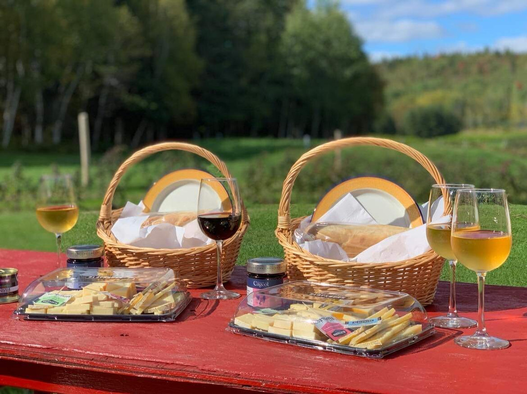 Domaine Le Cageot - Vignoble & Distillerie-Jonquiere必去景点