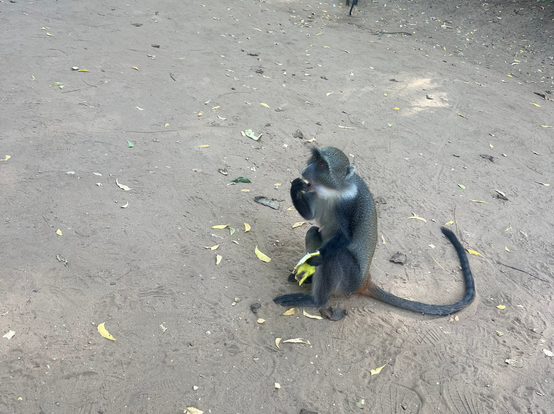 Safarisana-瓦塔木必去景点