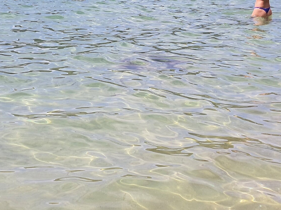 Lamberto Beach-乌巴图巴必去景点