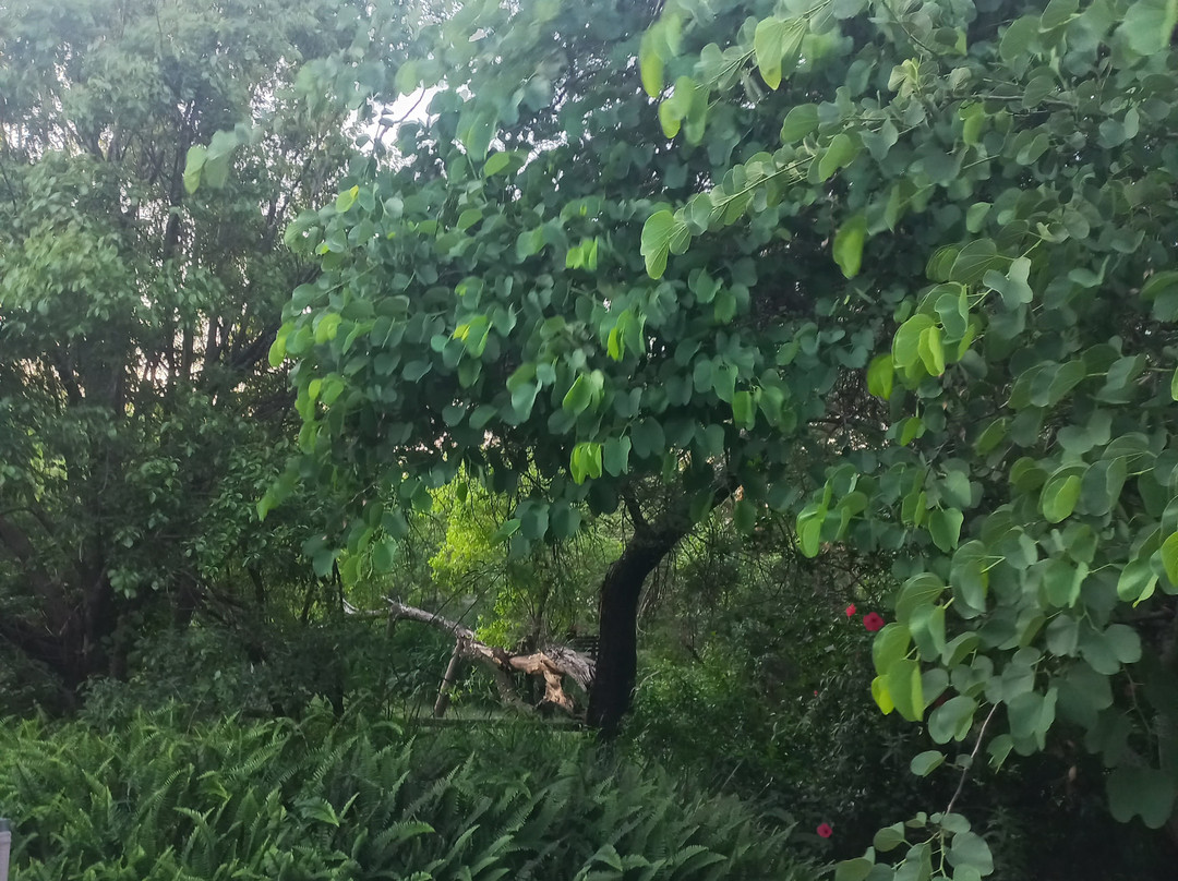 Glenda's Guest Suites主图