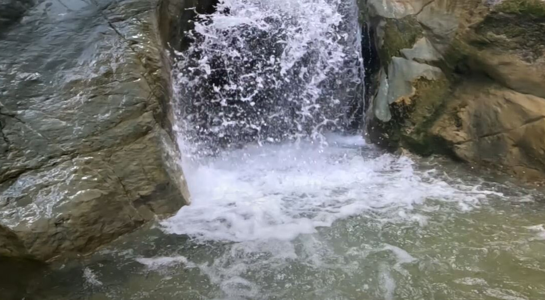 Irene's Healthy Life-Pallini必去景点