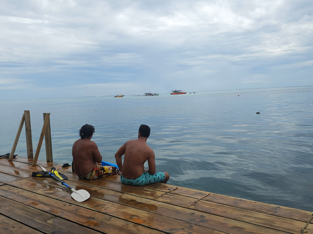 Tahiti iti pearl farm - La Ferme Perlière Touristique de Tahiti-景点图片