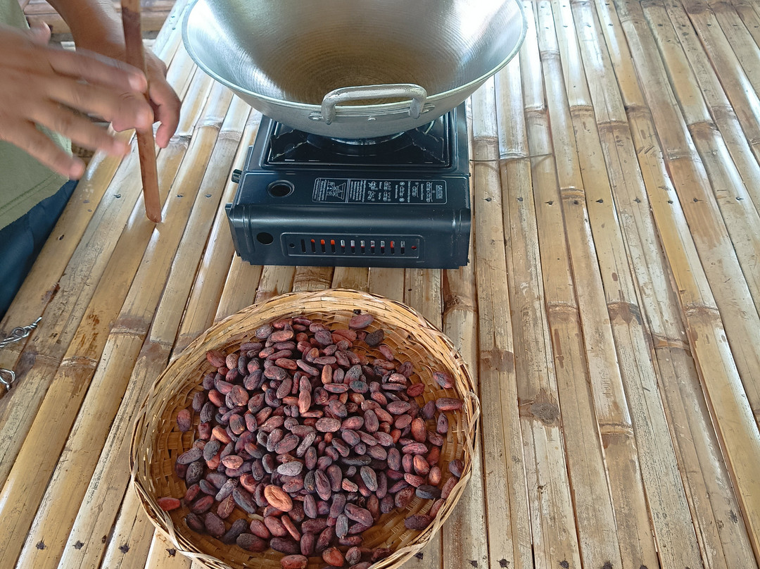 Bohol Chocolate Farm景点图片