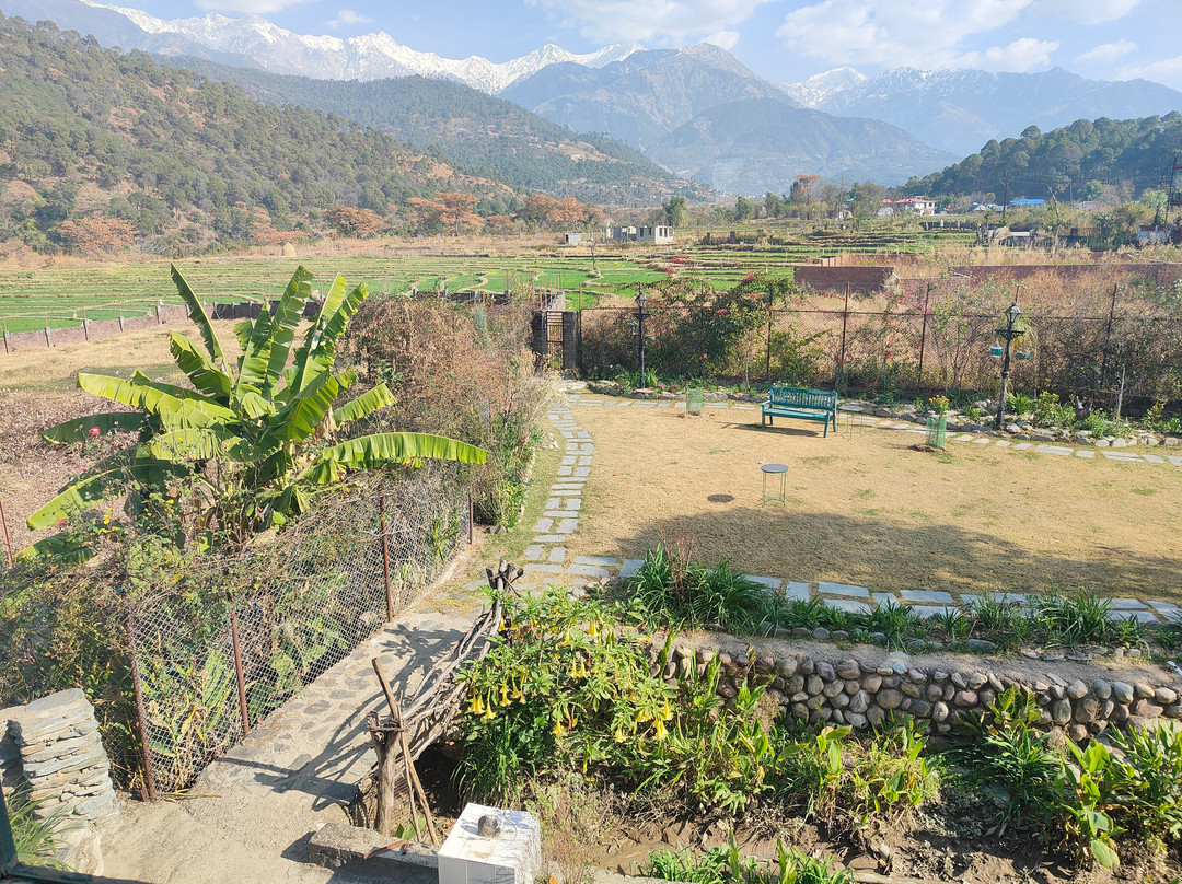 Chinar Chalet