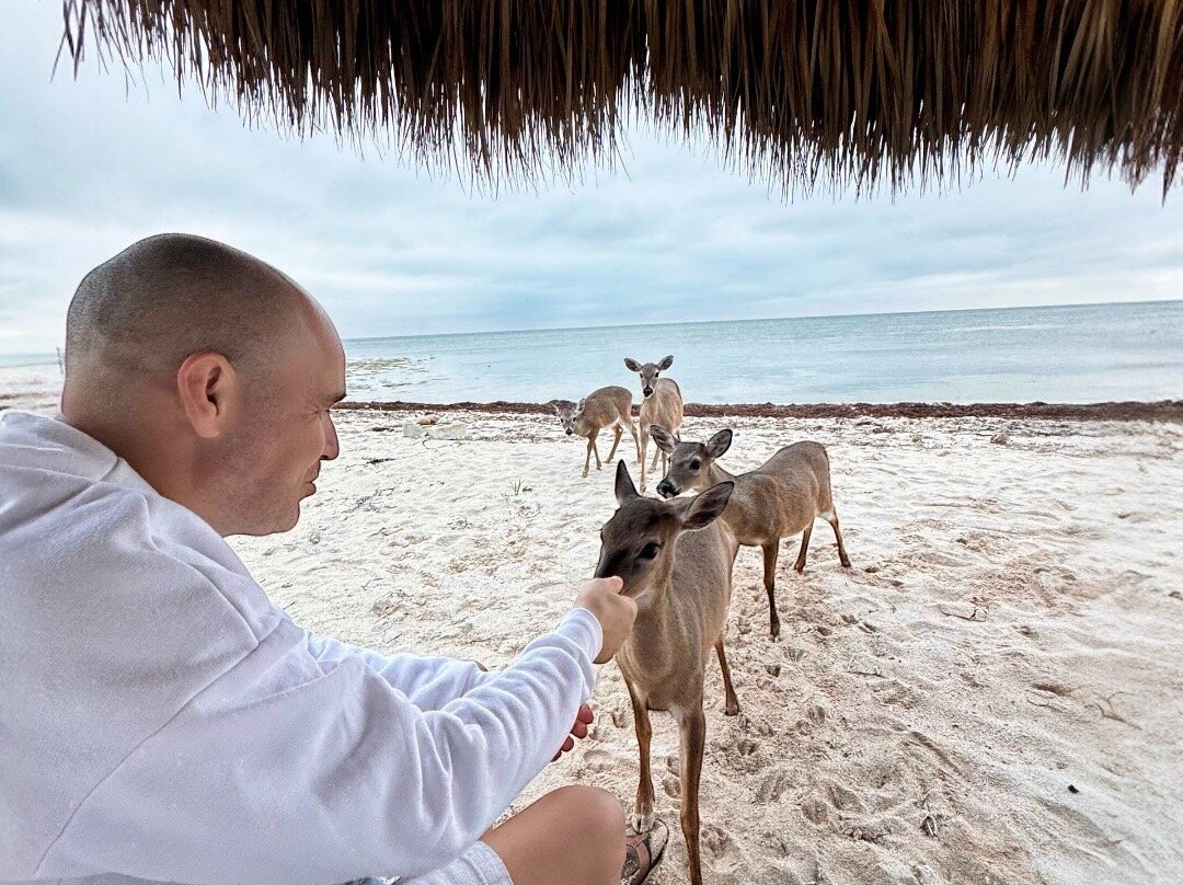 Barnacle Bed and Breakfast主图